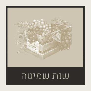 שנת שמיטה – Shmita Year